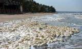 'Thủy triều đỏ' tấn công các resort ven biển Mũi Né