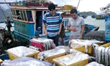 Giám sát thương lái nước ngoài mua thủy sản