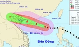 Bão cấp 11-12 đổ bộ vào Hải Phòng, Quảng Ninh