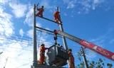 Triển khai xây dựng lưới điện phân phối khu vực miền Nam. Ảnh: Đình Hoàng 