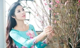 Ngọc Hân mang hoa đào vào Nam chúc Tết