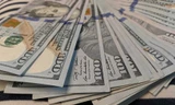 Tỷ giá USD ngân hàng tăng mạnh nhất trong một năm