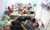 Đà Nẵng:Ca đầu tiên tử vong do sốt xuất huyết, mỗi ngày cả trăm người nhập viện