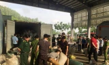 Phó Thủ tướng biểu dương vụ chặn 10 tấn ngà voi, vảy tê tê nhập lậu