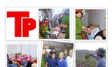 Bản tin Hình sự 18H: Giây phút đối mặt 25 tên tội phạm vũ trang 'tận răng'