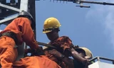 Tự ý leo lên cột điện, nam thanh niên bị điện giật mắc kẹt trên cột