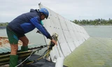 Chủ đầm tôm cá thất thần vì mất trăm triệu đồng do bão Noru