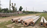 Ninh Bình: Hàng loạt cột điện trung thế vừa trồng xong đã phải nhổ lên 