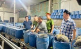 Lạnh người với quy trình sản xuất hàng giá đỗ ngậm hóa chất độc hại