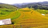 Tỉnh Lào Cai mới quyết tâm trở thành trung tâm du lịch của vùng Tây Bắc
