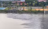 Hãi hùng với dòng nước thải đen kịt đổ thẳng vào hồ điều hoà rộng 19 ha ở Hà Nội