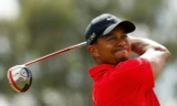 Tiger Woods không thi đấu mà sắm vai đội phó tư vấn chiến thuật cho các golfer Mỹ tại Presidents Cup 2017 