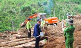 Khám nghiệm hiện trường vụ triệt hạ hàng chục nghìn m2 rừng bằng cưa xăng, xe cơ giới 