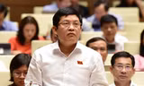 Ông Phạm Phú Quốc có quốc tịch Síp từng gửi đơn xin thôi nhiệm vụ Đại biểu Quốc hội