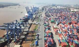 TPHCM thu phí hạ tầng cảng biển từ ngày 1/4