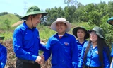 Bí thư T.Ư Đoàn đánh giá cao tinh thần xung kích hỗ trợ dự án đường dây 500kV của tuổi trẻ Nghệ An