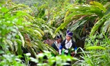 Người 'đi đầu dẫn lối' đưa củ gừng của bà con dân bản ra thế giới