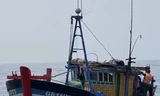 Quảng Trị: Bắt giữ hai tàu cá đánh bắt thủy sản trái phép