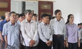 Xét xử 22 cựu cán bộ 'hô biến' đất rừng thành đất ở 