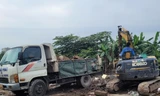 Hà Nội: Buộc đối tượng đổ trộm trạc thải trên đất dự án công viên trả lại nguyên trạng