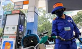 Giá xăng giảm vào ngày mai?