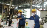 Doanh nghiệp ngành phân bón lãi lớn chưa từng có
