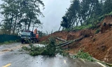 Khẩn trương khắc phục sạt lở, ùn tắc do mưa lũ gây ra ở các tỉnh phía Bắc