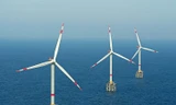 Không lùi tiến độ các dự án điện gió ngoài khơi 