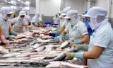 Trung Quốc siết chặt kiểm dịch, thủy sản Việt Nam xuất khẩu vẫn tăng gấp đôi