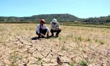 El Nino dự báo gây hạn hán nặng ở hàng loạt tỉnh miền Trung 