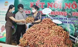 Nông dân có thêm kênh bán nông sản trong mùa dịch COVID-19