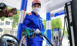 Giá xăng dầu tiếp tục giảm 