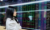 Chứng khoán tăng 3 phiên liên tiếp, dòng tiền vẫn thận trọng
