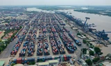Gần 5.000 container vô chủ 'ăn vạ' cảng biển