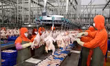 Chi hàng tỷ USD nhập khẩu thịt khi gà, lợn trong nước vừa rẻ vừa ế 