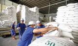 Đề xuất quy định mới về kinh doanh xuất khẩu gạo