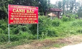 Bộ Xây dựng chỉ đạo xử lý nghiêm các doanh nghiệp kiểu Alibaba
