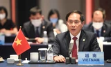 Bộ trưởng Bùi Thanh Sơn tham dự hội nghị. (Ảnh: Mofa)