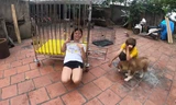 Con trai bà Tân Vlog khiến CĐM tranh cãi dữ dội vì hành động nhốt em gái vào cũi chó