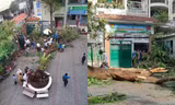 Vụ cây phượng bật gốc tại trường: Học sinh lớp 6 khóc nức nở khi nghe tin bạn tử vong