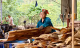 Làng nghề làm ván bóc Đồng Cướm (Tuyên Quang)