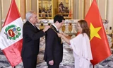 Lễ trao Huân chương ‘Mặt trời Peru’ cấp Đại Thập tự tặng Chủ tịch nước Lương Cường