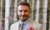 David Beckham được phong tước hiệp sĩ 