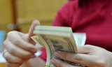 Trong vòng hơn 2 tháng, lãi suất gửi đôla Mỹ liên tục hạ và về mức thấp kỷ lục 0% từ ngày 18/12. 