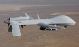 Máy bay không người lái Đại Bàng Xám MQ-1C. (Nguồn: army.mil)