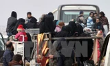 Đoàn xe đưa người dân Syria sơ tán khỏi miền đông Aleppo ngày 16/12. (Nguồn: AP/TTXVN)