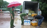 Số lượng lớn nội tạng bốc mùi được tuồn về Nghệ An để tiêu thụ