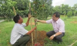 Ông Lê Xuân Sơn và đại diện Ban quản lý nghĩa trang đang trồng cây vú sữa 
