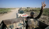 Lực lượng ủng hộ Chính phủ Iraq vui mừng sau khi giành lại quyền kiểm soát làng al-Sejar, Đông Bắc Fallujah ngày 26/5. (Nguồn: AFP/TTXVN)
