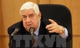 Ngoại trưởng Syria Walid Muallem. (Ảnh: AFP/TTXVN) 